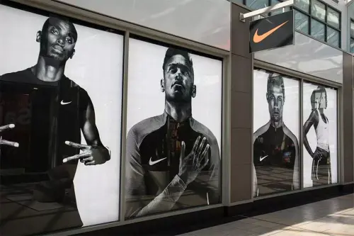 Window Signage sunshine coast.webp