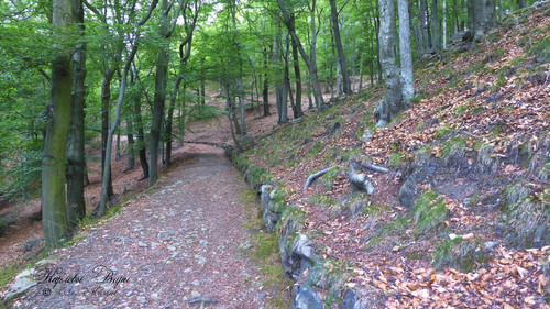 Вары 11.jpg