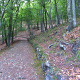 Вары 11