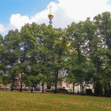 Вары 50