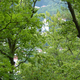 Вары 12