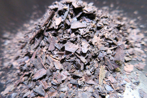 IMG 1898.cleaned.jpg