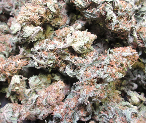 IMG 1930.cleaned.jpg