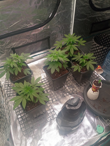 IMG 20230329 030546 008.jpg