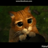 Swi4jZ.gif
