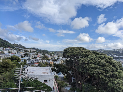 PXL 20230325 031618889.jpg