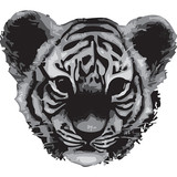 buttons web 0012 tiger