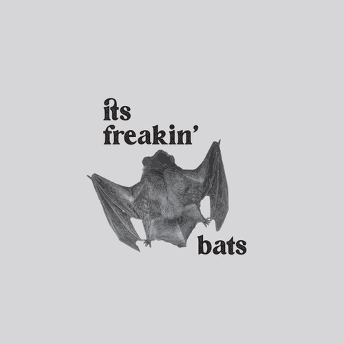 buttons web 0122 bat collection.jpg