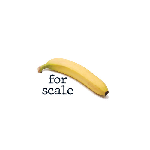 buttons web2 0014 banana for scale.jpg