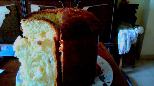 PANETTONE sceniko.jpg