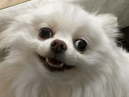 IMG 2216 Facetune 15 01 2022 03 14 33.jpg