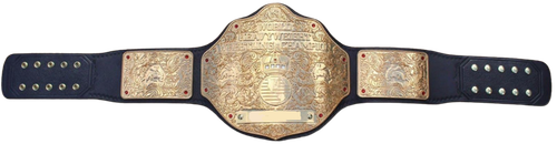 IMGBelt 44World 44 (1).png