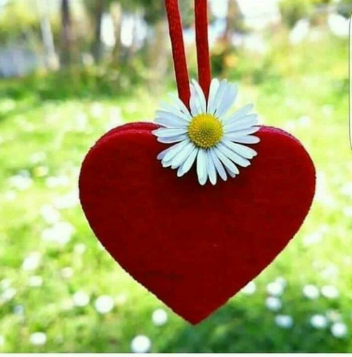 ٢٠٢٠ ٠١ ١١ ١٩.٣٤.١٥.jpg