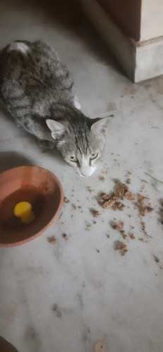 WhatsApp Image 2023 03 26 at 20.25.17.jpg