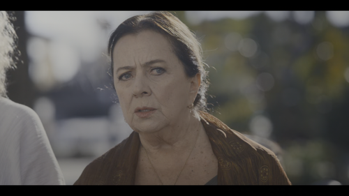 Who.Were.We.Running.From.S01E01.Episode.1.1080p.NF.WEB DL.HDR.DUAL.DDP5.1.H.265 NoRuNNiNG.mkv snapsh.png