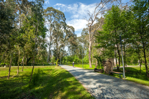 iStock 955752224.jpg