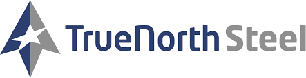 TNS logo.png