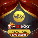 HEAD TAIL.gif