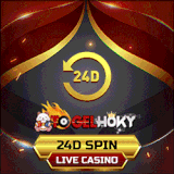 24DSPIN.gif