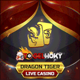 DRAGON TIGER.gif