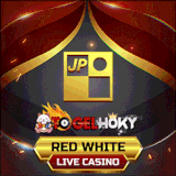 RED WHITE.gif