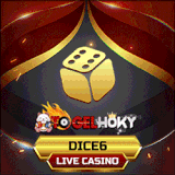DICE6.gif