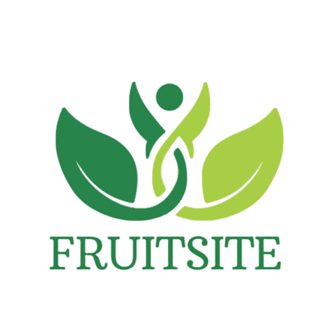 logo1.png