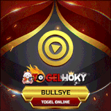 BULLSYE.gif
