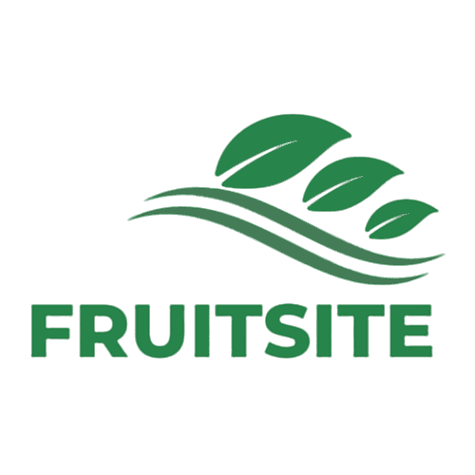logo2.png