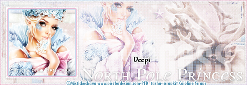 Deepi Northpoleban.png