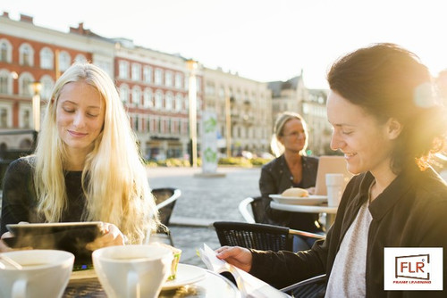 Frame Learning: Finest Study Abroad Consultants for Denmark.jpg