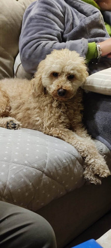 336760254 609496117320124 2056673804049286240 n.jpg