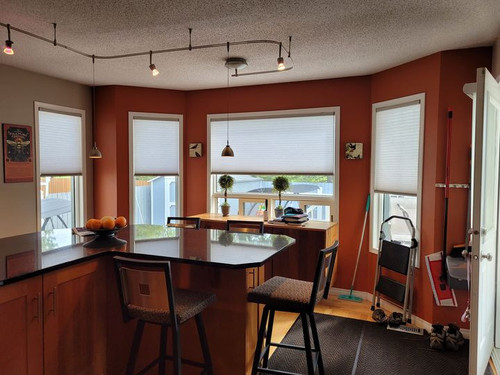 Roller Blinds in Edmonton Canada.jpg