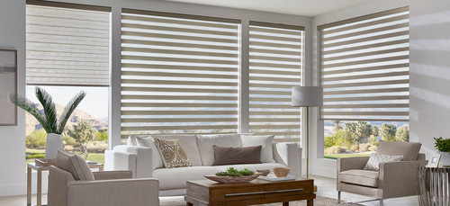 Dual Roller Shades in Edmonton Canada.jpg
