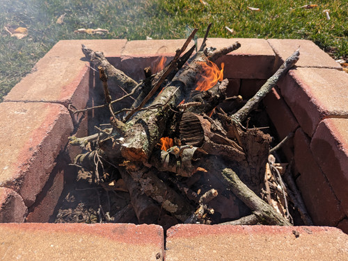 PXL 20230326 164936277.jpg