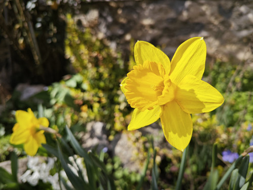 IMG 20230324 135912.jpg