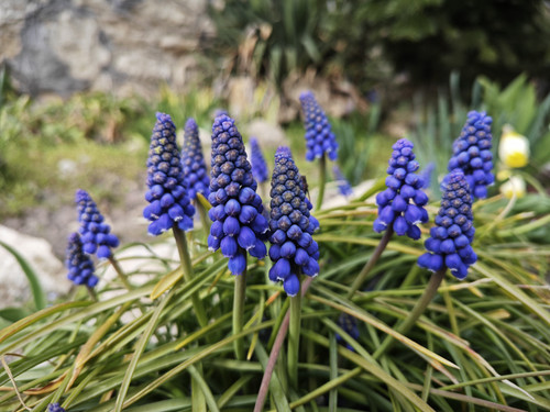 IMG 20230324 145527.jpg