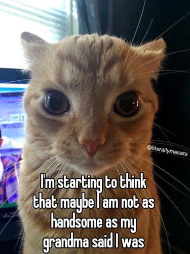 D4890775 2124 464C BF7F 8FDEA75BA886.jpg