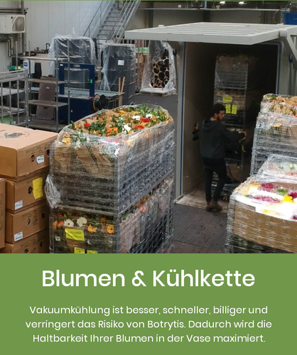 blumen und kuehlkette vakuum kuhlung.png