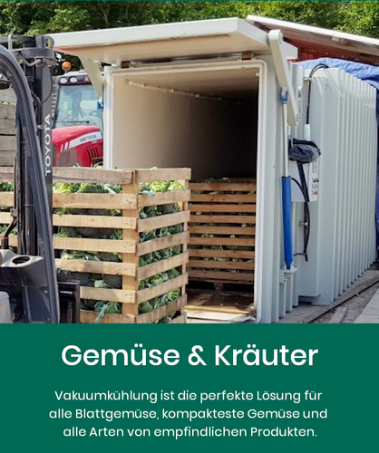 gemuese und krauter vakuum kuhlung.png