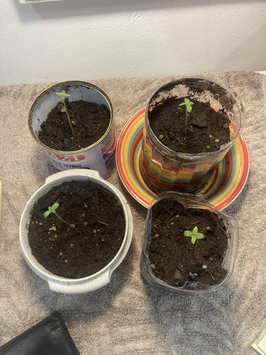 C08C4561 02A8 4239 A4AE FDC9C6A2A06D.jpg