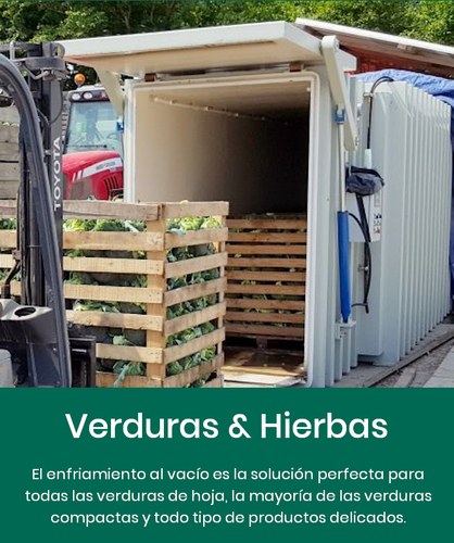 verduras y hierbas enfriamiento por vacio.png