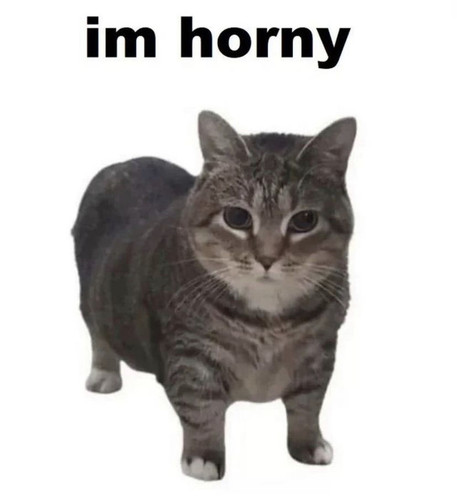 DC8B4D57 8343 4BE0 A17D B7AD227F1DEC.jpg