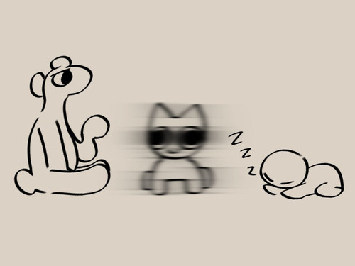 7AC566CF 2821 4DE9 BDFB 0A5083F054BB.jpg