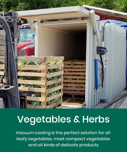 vegetables and herbs vacuum cooling.png