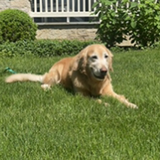 Screenshot 2022 09 06 at 1.54.24 PM.png