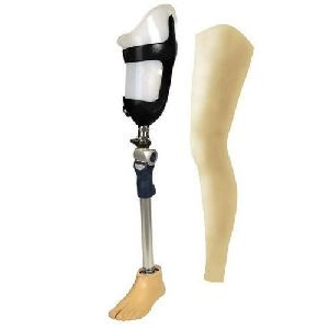 limb1.jpg