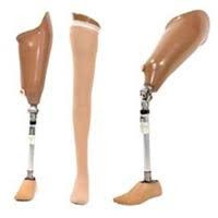 limb3.jpg