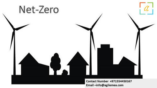Net Zero . 12.jpg