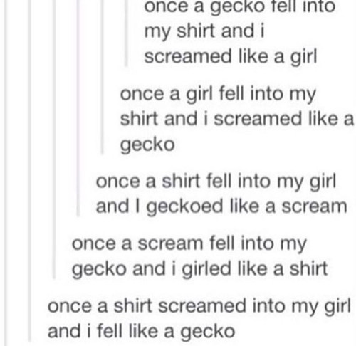 9dc5961acfec75a9604a1cf3c94b2169 geckos my girl